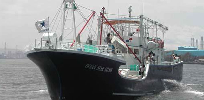 トーチライト漁船