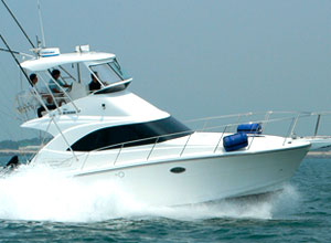 37-Fuß-Yacht - Cabrio