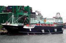 오징어 배 290GT