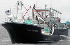 barco de pesca con antorchas 100GT