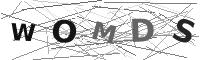 Please refresh your browser to see this image.