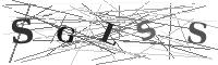 Please refresh your browser to see this image.