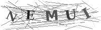 Please refresh your browser to see this image.