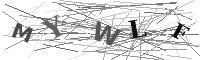 Please refresh your browser to see this image.