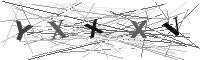 Please refresh your browser to see this image.