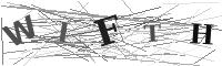 Please refresh your browser to see this image.