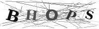 Please refresh your browser to see this image.