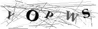Please refresh your browser to see this image.