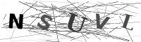 Please refresh your browser to see this image.