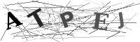 Please refresh your browser to see this image.