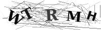 Please refresh your browser to see this image.