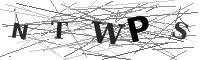 Please refresh your browser to see this image.
